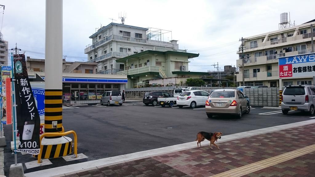Koza Share House Hotel Okinawa Kültér fotó